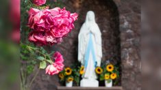 Hérault : une statue de la Vierge Marie décapitée à Montaud, près de Montpellier