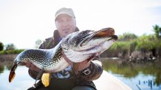 Charente : ils pêchent un brochet d’1m15 dans la Tardoire