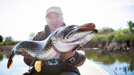 Savoie : un brochet de 121 centimètres pêché au lac du Bourget