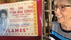 Une femme retrouve son portefeuille perdu en 1962 dans une salle de cinéma: «C’est tout bonnement incroyable»