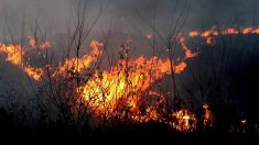 Vaucluse : incendie fixé, 130 hectares brûlés