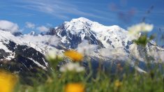 Haute-Savoie : il reconstitue le massif du Mont-Blanc en Lego