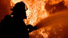 Alpes-Maritimes : alors qu’un incendie détruit un appartement, un chien est secouru des flammes par les pompiers