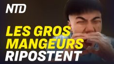 Regards sur la Chine (26 août): les gros mangeurs chinois ripostent