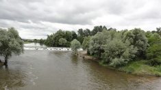 Jusqu’à une tonne de déchets laissés sur les rives de la Meurthe à Rosière-aux-Salines chaque semaine : « honteux et dégueulasse »