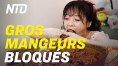 Regards sur la Chine (19 août): la crise alimentaire s’aggrave en Chine