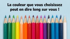 Ce test de couleur révélera tout ce que vous devez savoir sur les traits dominants de votre personnalité