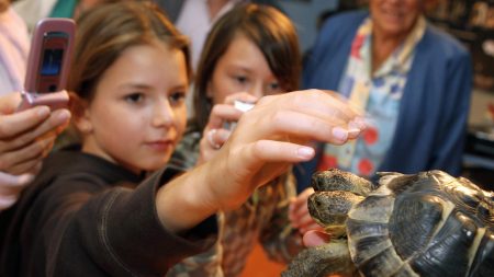 Santé mentale des jeunes : hausse des « troubles anxieux » et « phobies sociales »