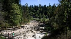 Une grotte vieille de 2 millions d’années découverte dans le Doubs qui devient vert fluo