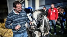 Coronavirus : annulation de la foire agricole de Châlons-en-Champagne, 2e plus importante de France