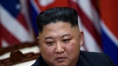 Corée du Nord : Kim Jong-Un ordonne aux habitants de donner leurs chiens pour qu’ils soient mangés