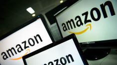 Amazon France retire de son site des poupées sexuelles à l’effigie d’enfants