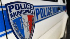 Toulouse: un travesti lance sa chaussure à talon sur la vitre d’une voiture de police, la faisant exploser