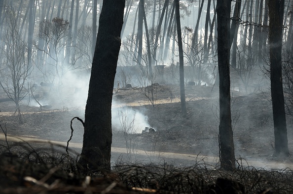 L'incendie qui s'est déclaré le 31 juillet 2020 a détruit 165 ha de la forêt de Chiberta à Anglet. Plusieurs résidences et habitations ont été évacuées. (Photo GAIZKA IROZ/AFP via Getty Images)