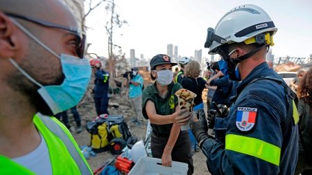 Après la tragédie du port, les Libanais craignent une pénurie de pain