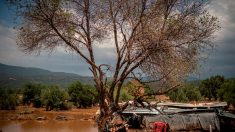 Inondations en Grèce: 5 morts, 2 disparus en Eubée, selon un nouveau bilan