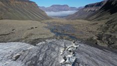 L’Administration Trump approuve le forage de pétrole et de gaz dans la réserve naturelle de l’Arctique