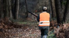 Les chiens laissés dans la voiture non climatisée d’un chasseur meurent asphyxiés