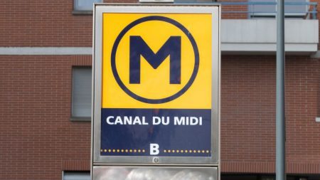 Toulouse : armés de couteaux, 3 hommes originaires de Mayotte avaient semé le chaos dans le métro – ils sont mis en examen