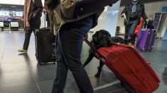 Une chienne des douanes renifle 250 000 euros à l’aéroport de Francfort