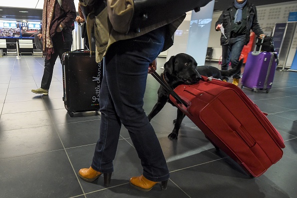 (Photo : SEBASTIEN BOZON / AFP via Getty Images)