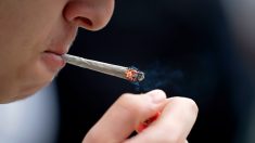 L’amende de 200 euros pour détention de cannabis généralisée ce mardi