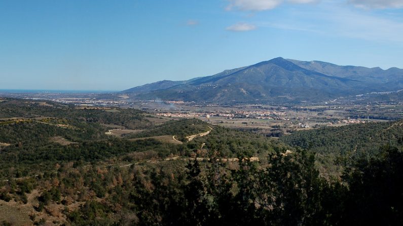 C'est dans le Massif des Albères (Pyrénées-Orientales) que Jacques Pottier effectue régulièrement des patrouilles incendie. (Jérôme Blum)