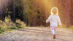 Une enfant disparaît dans les bois avec un épagneul cocker et est repérée par un voisin 24 heures plus tard