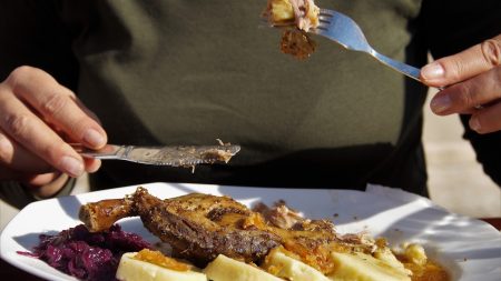 Bergerac : le patron d’un restaurant arrache le lobe de l’oreille d’un client après un différent concernant l’addition