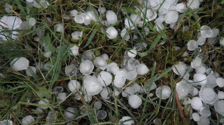 Photos : des grêlons gros comme des œufs tombent dans le sud des Landes