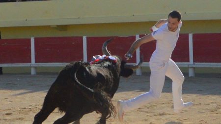 Gard : Kevin, jeune raseteur de 23 ans, est décédé percuté par un taureau lors d’une course camarguaise