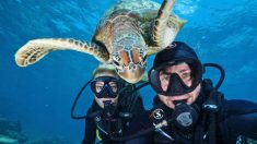 5 des plus drôles photographies d’animaux pour égayer votre journée