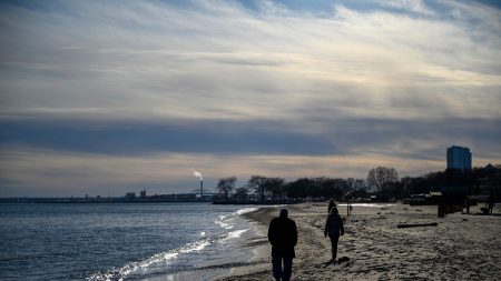 Il se promène sur la plage et découvre un cerveau enveloppé dans du papier aluminium