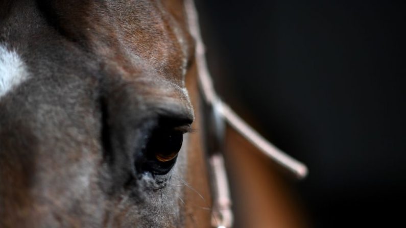 (FRANCK FIFE/AFP via Getty Images)