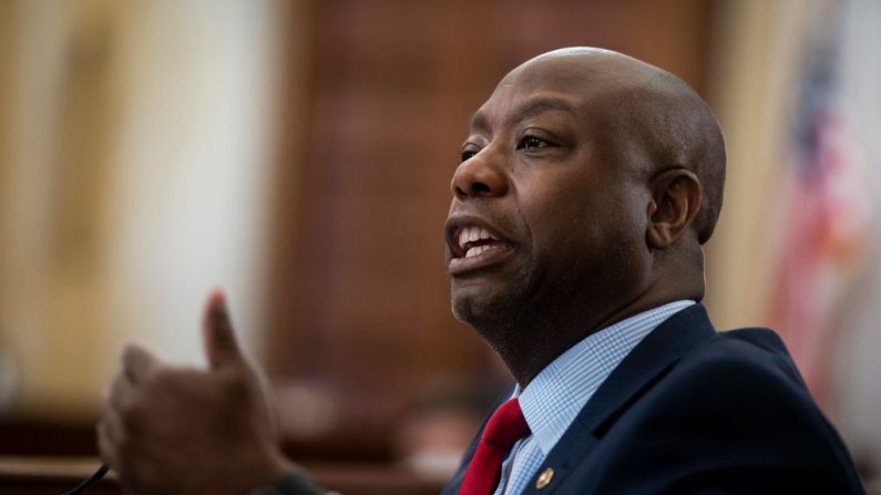 Le sénateur américain Tim Scott (AL DRAGO/AFP via Getty Images)