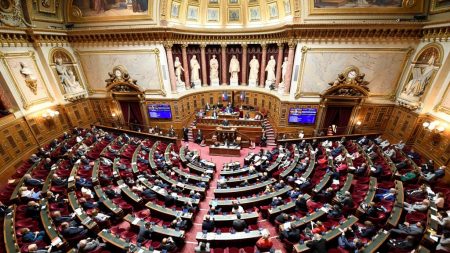 Coronavirus au Sénat : huit sénateurs contaminés, un élu hospitalisé