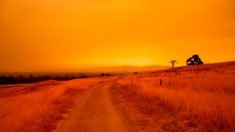 Ciel d’apocalypse à San Francisco à cause d’incendies historiques