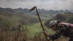 Des villageois chinois luttent pour survivre après avoir été délocalisés de force par les autorités