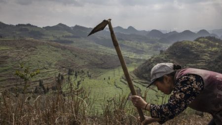 Des villageois chinois luttent pour survivre après avoir été délocalisés de force par les autorités