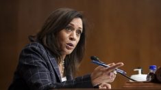 Kamala Harris prend le rôle qui incombe habituellement au président en téléphonant à plusieurs chefs d’État