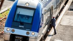 Nord : un voyageur aveugle condamné à 6 mois de prison pour des violences commises sur un agent de la SNCF