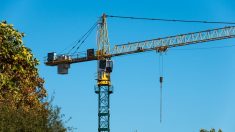 Reims : retranchée sur une grue pour alerter sur la situation de son fils autiste