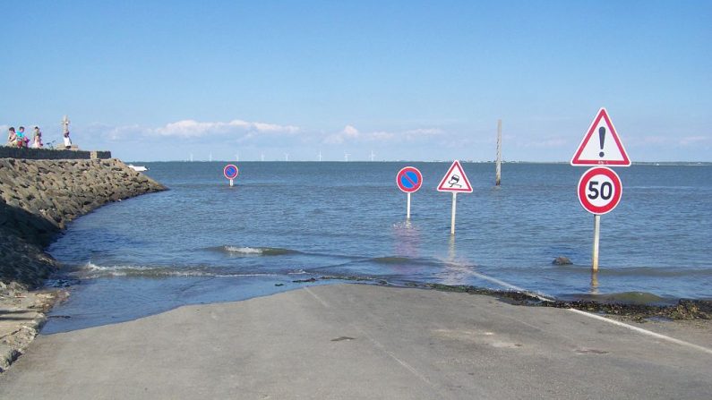 Le passage du Gois. (Florian Pépellin / CC BY-SA)