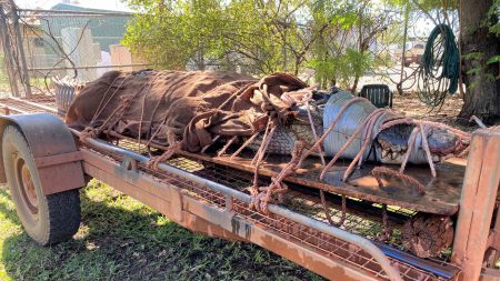 Un énorme crocodile de 4,4 m a été capturé dans un lieu touristique du Territoire du Nord de l’Australie