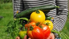 Ils changent de vie, quittent la ville, créent leur ferme traditionnelle et un potager en forme de coeur