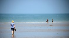 Côtes-d’Armor : elle retrouve son alliance 40 ans après l’avoir égarée sur une plage bretonne