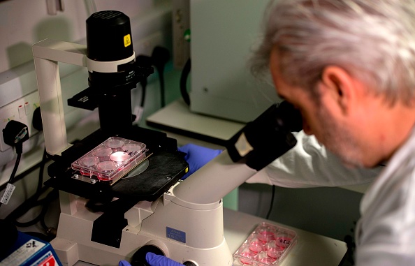 -Le docteur Paul McKay, travaille sur un vaccin pour la souche 2019-nCoV du nouveau coronavirus. Photo de Tolga Akmen / AFP via Getty Images.