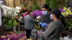 Covid-19 : 15% des fleuristes pourraient disparaître à cause de la crise