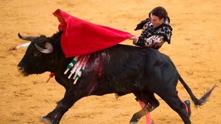 Tauromachie : le Parlement européen vote contre les aides de la PAC aux élevages de taureaux de combat