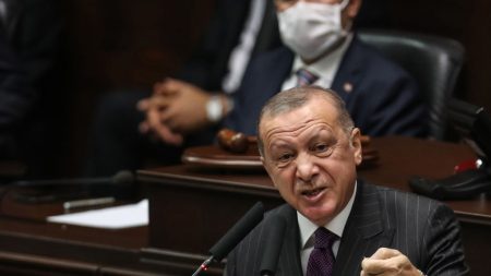 Erdogan lance lui même un appel au boycott des produits français